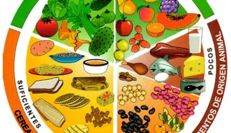 Errores comunes en organización de comidas y hábitos diarios